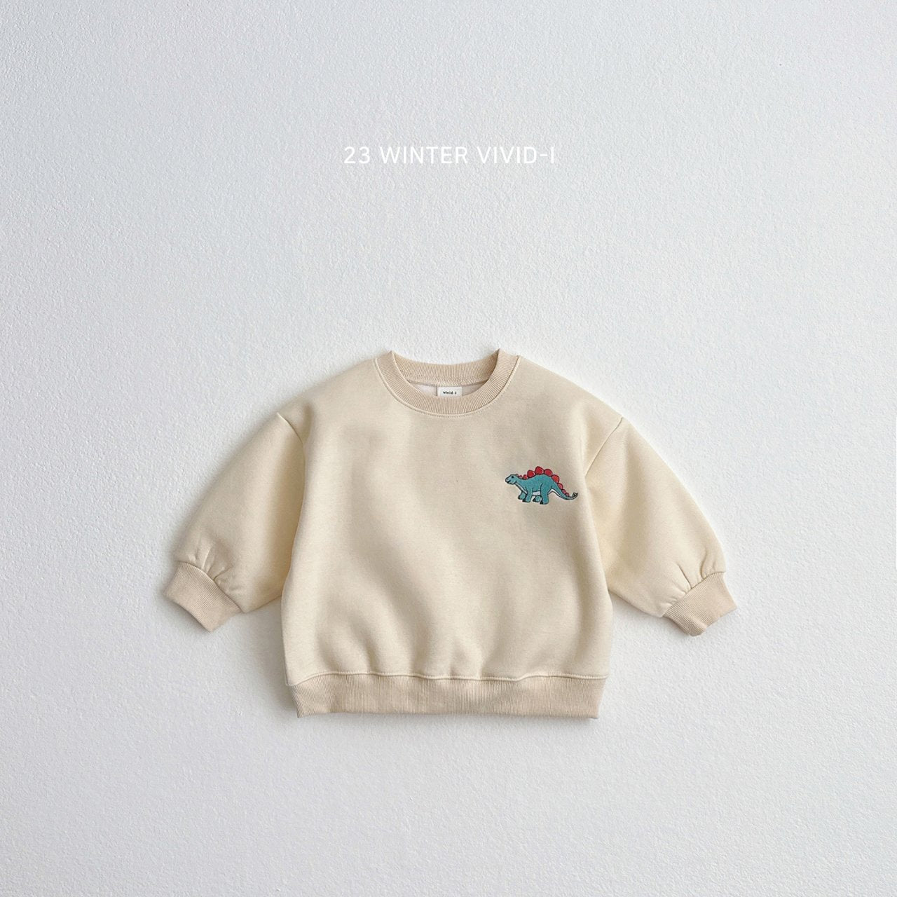 (2-5Y) Winter Dino Sweatshirts