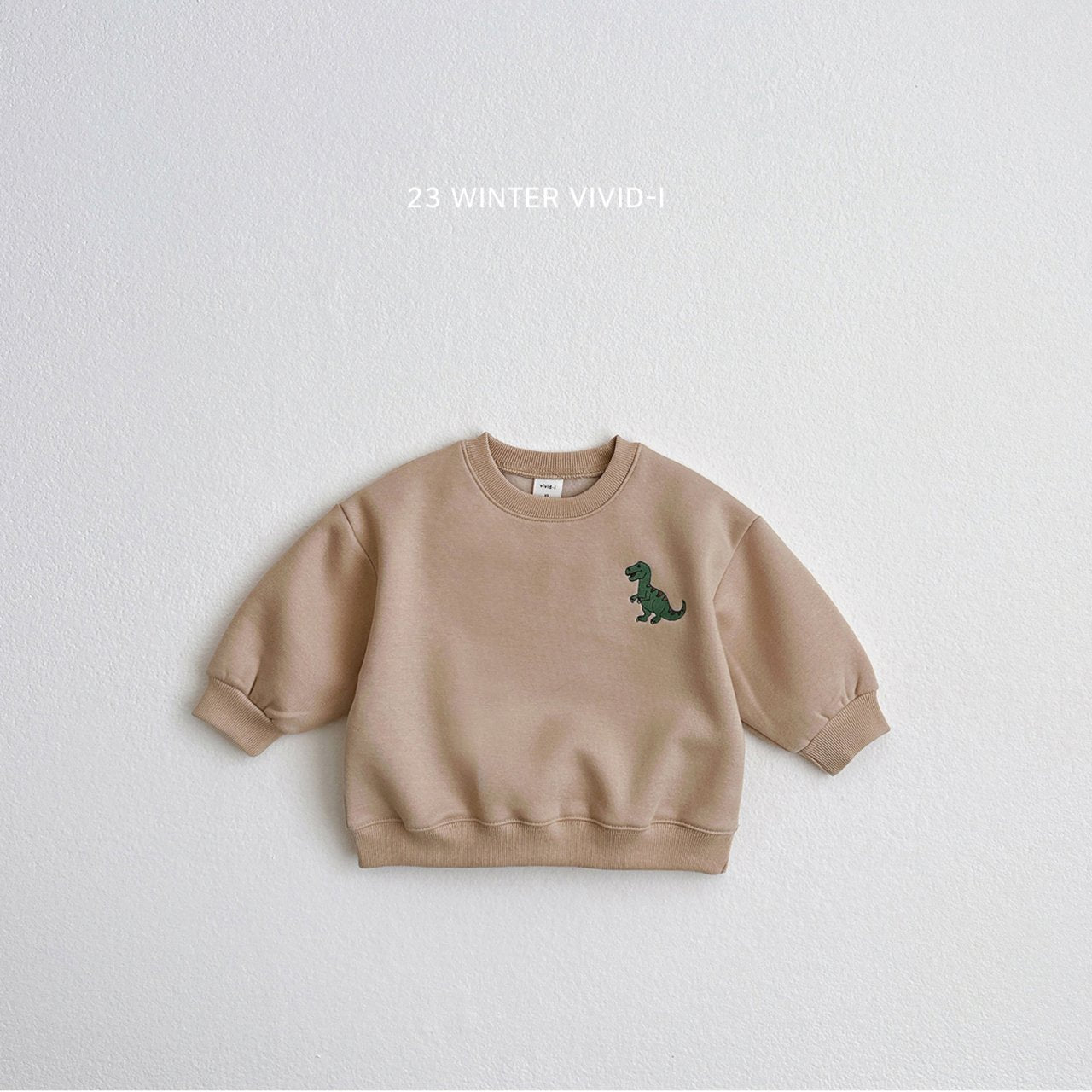 (2-5Y) Winter Dino Sweatshirts