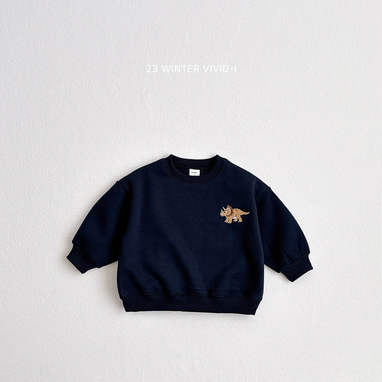 (2-5Y) Winter Dino Sweatshirts