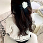 Aosta Coco Hairclip