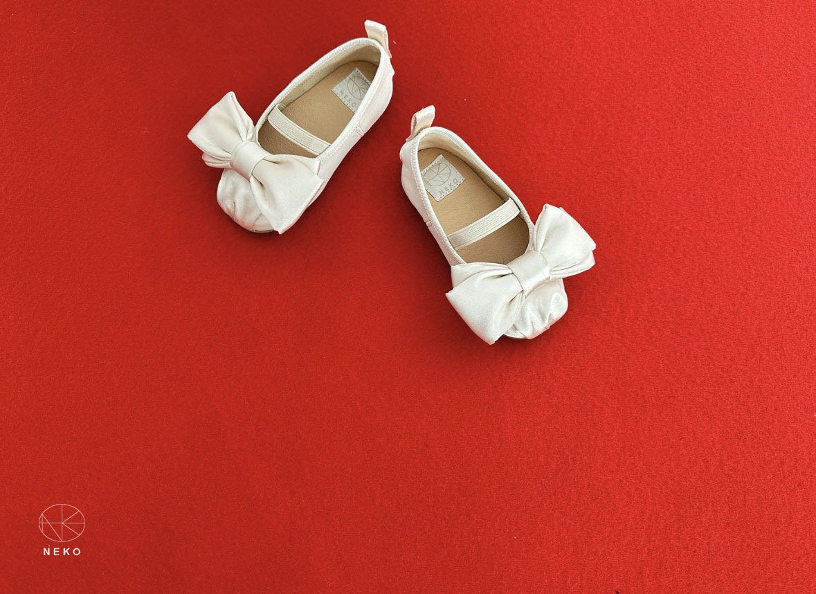 NK927 Louvre Ballet Flat Shoe